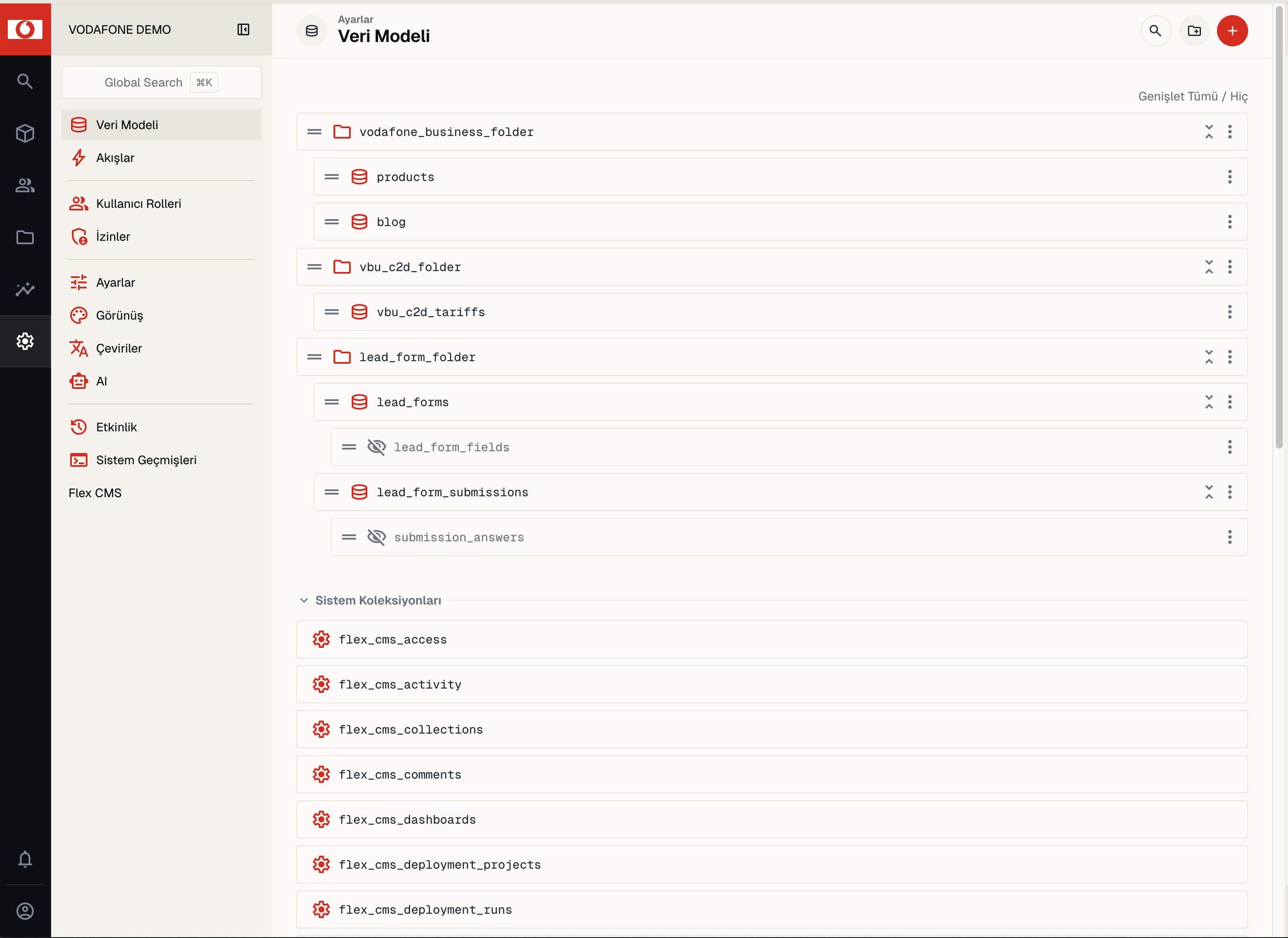 Flexy CMS veri modeli ekranı