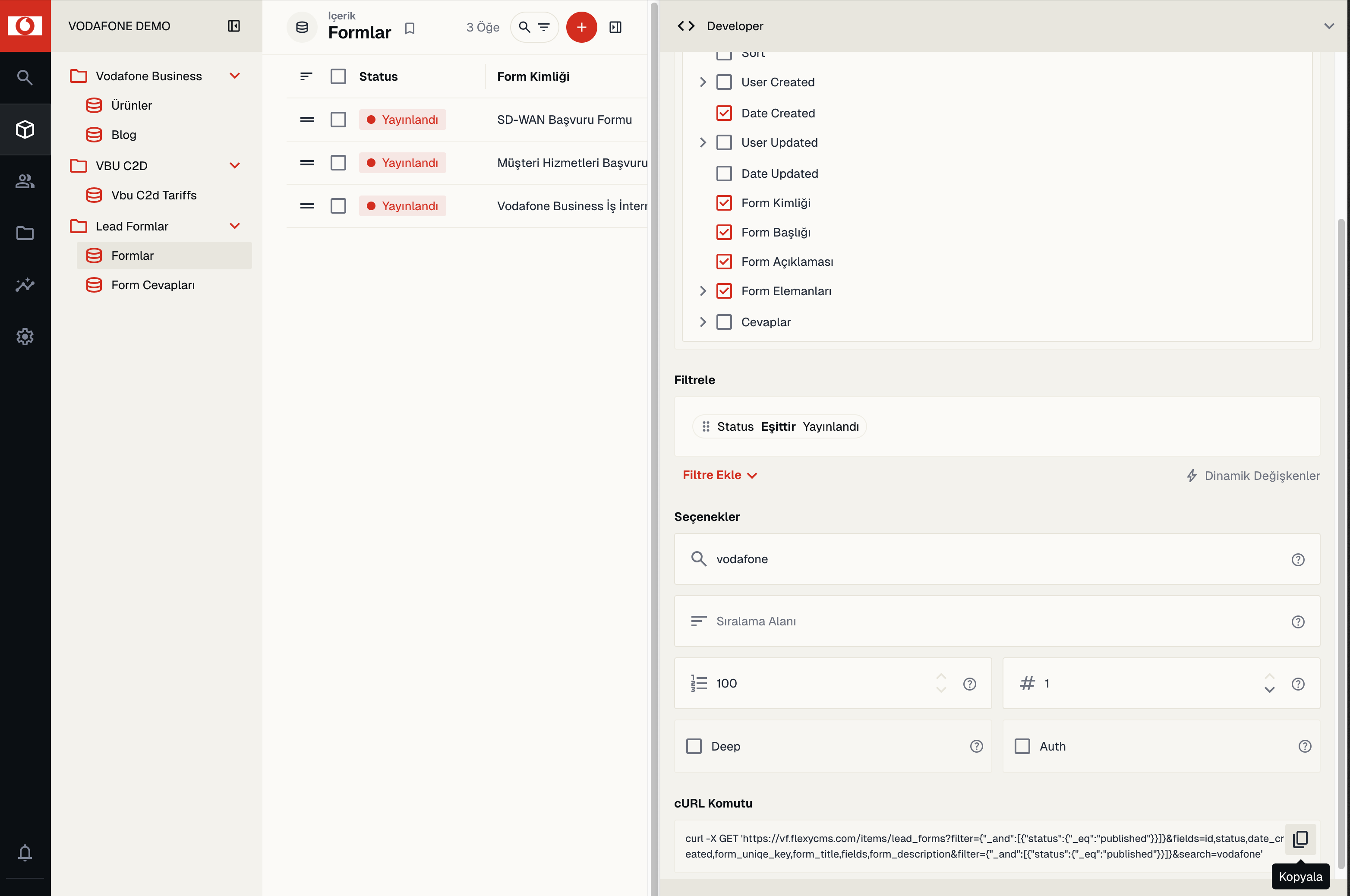 Developer paneli: filtre, arama ve üretilen cURL komutu
